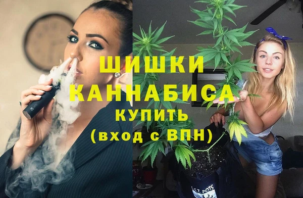 гидропоника Медногорск