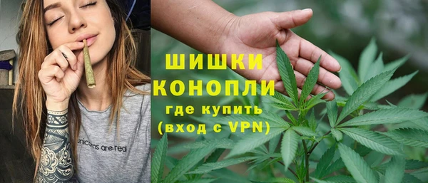 гидропоника Медногорск