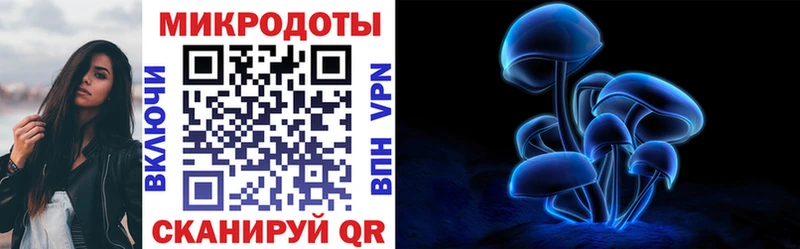 Галлюциногенные грибы Cubensis  Купить где  Старая Русса 